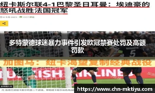 多特蒙德球迷暴力事件引发欧冠禁赛处罚及高额罚款